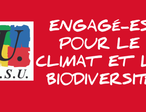 Pour une rénovation écologique du bâti scolaire public : enquête