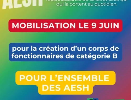 AESH : un vrai métier, un vrai corps de fonctionnaire ! Toutes et tous mobilisé.es le mardi 9 juin.